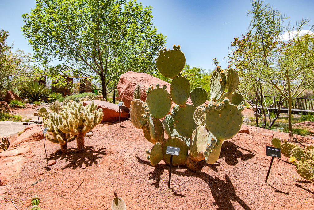 Avis&nbsp;: SpringHill Suites St. George Washington, Utah | Marriott Bonvoy - St George Crédit Annie Tremblay 36