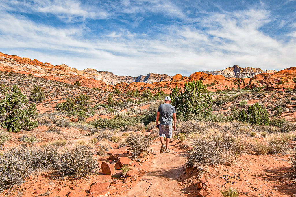 Avis&nbsp;: SpringHill Suites St. George Washington, Utah | Marriott Bonvoy - St George Crédit Annie Tremblay 46