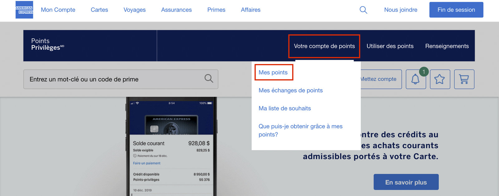 American Express&nbsp;: Comment voir les détails d’accumulation de points avec Amex?? - 2 1