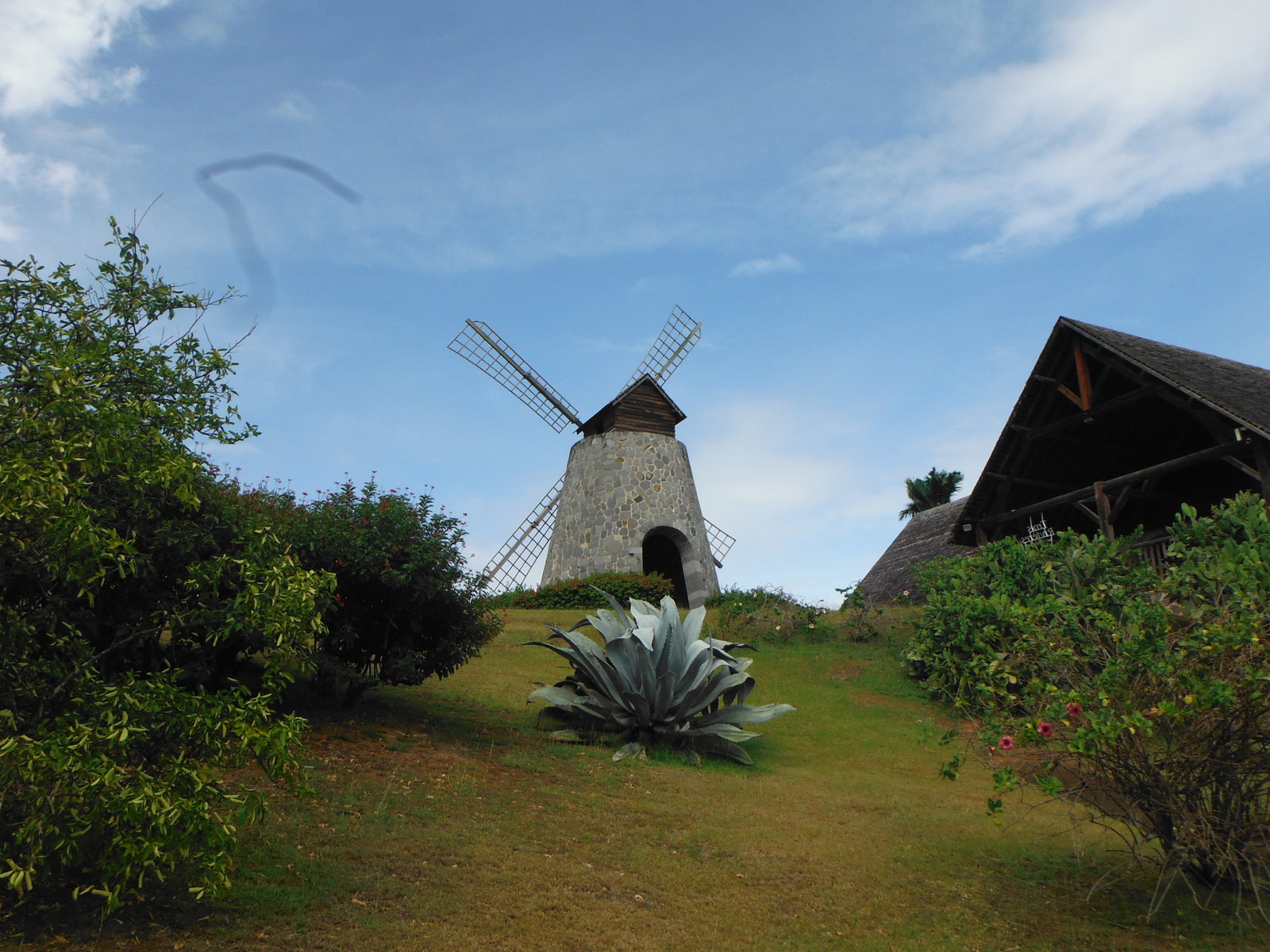 Guide de voyage en Martinique | Itinéraires et Incontournables - Moulin Martinique Crédit Frédéric Deluen