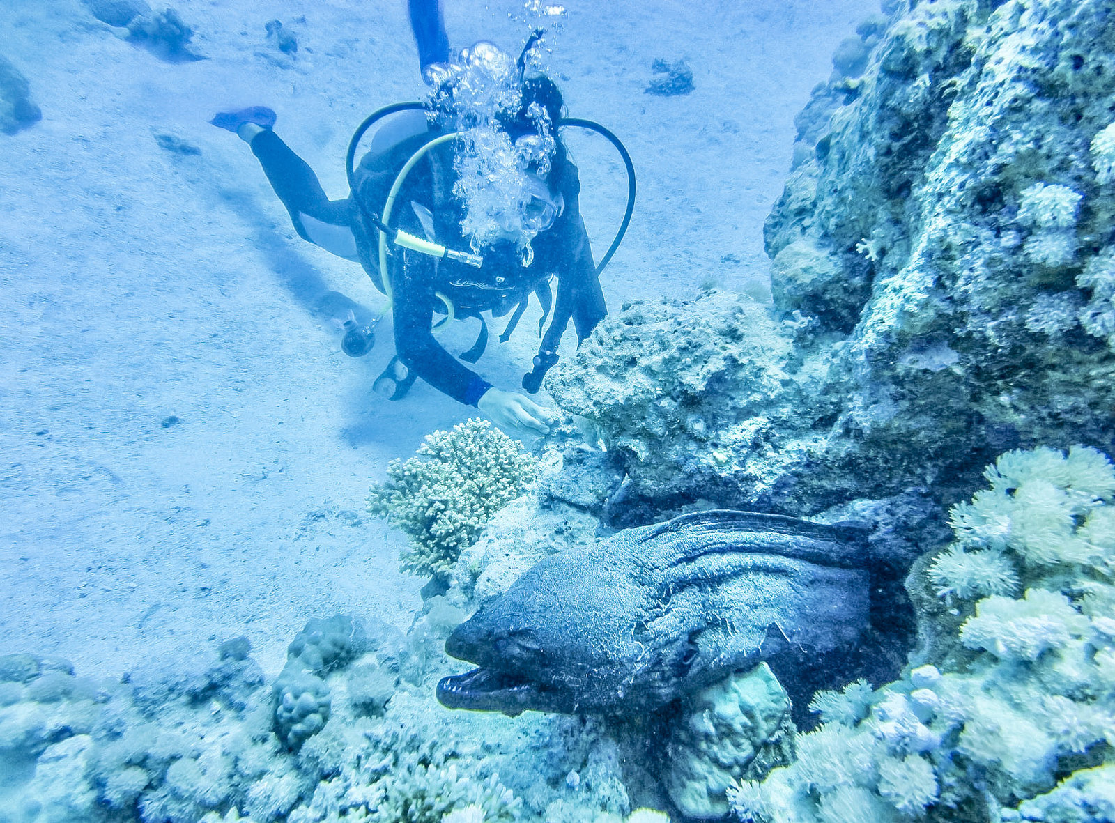 Nos astuces pour faire de la plongée sous-marine avec les points - Plongée en Égypte