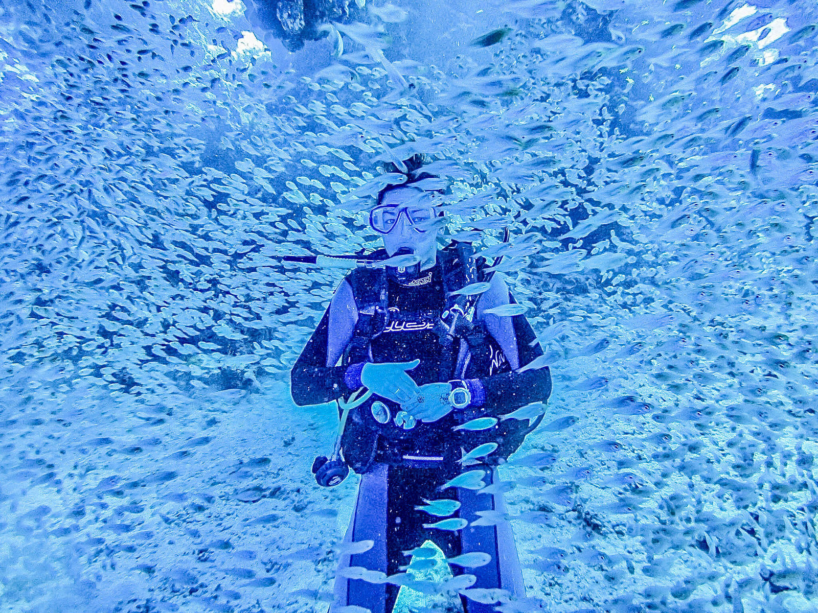 Nos astuces pour faire de la plongée sous-marine avec les points - Plongée en Égypte