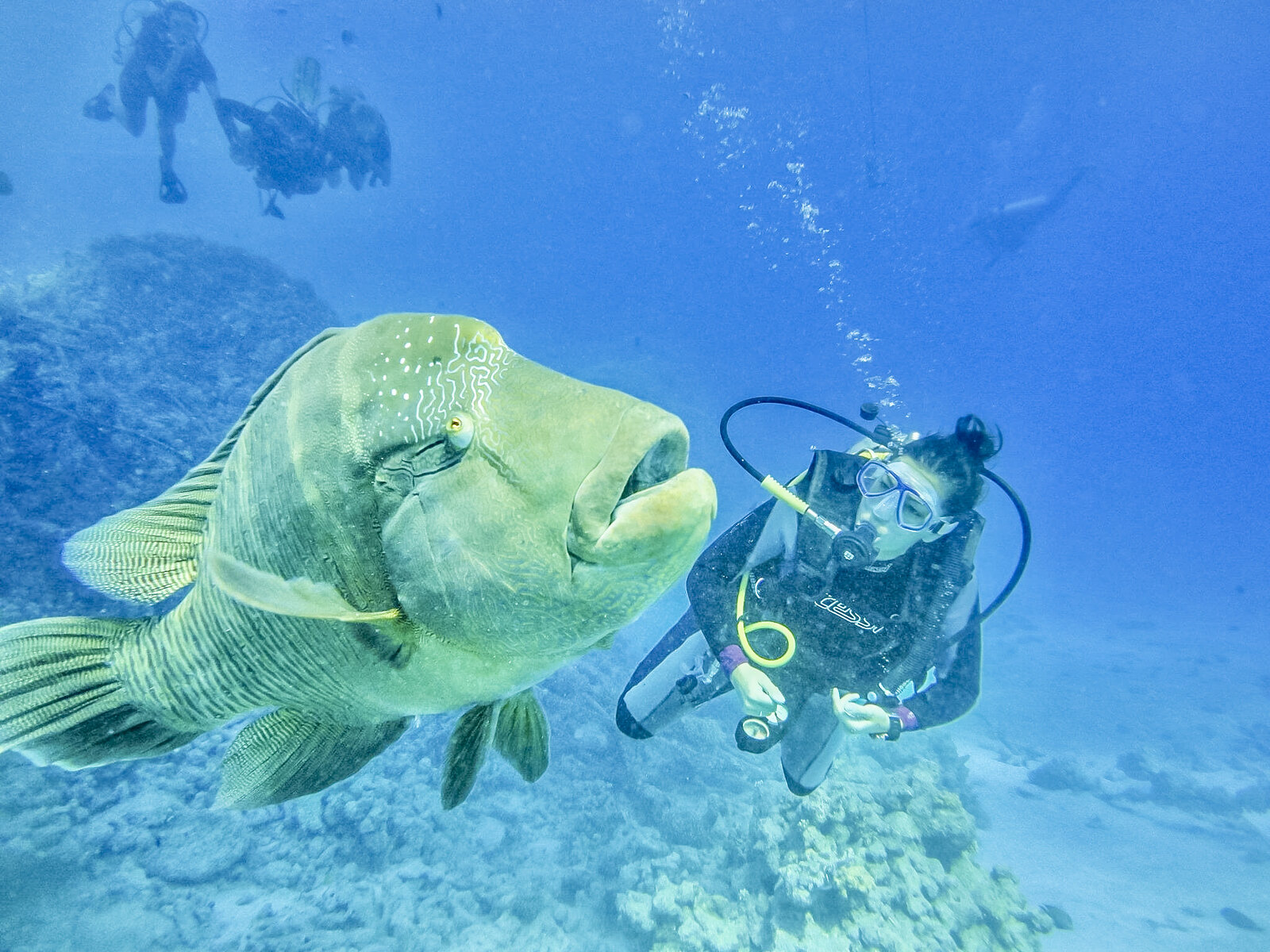 Nos astuces pour faire de la plongée sous-marine avec les points - Plongée en Égypte