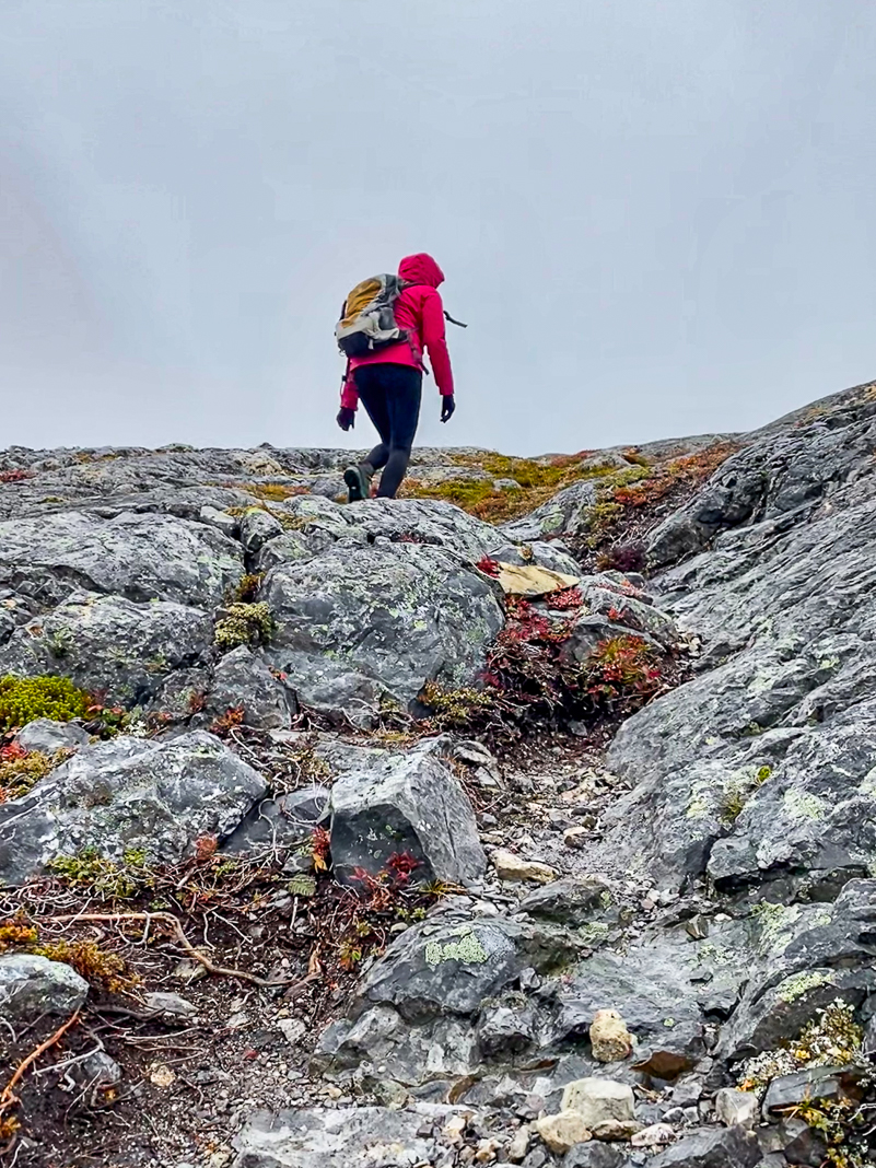 Canada&nbsp;: Travel to Newfoundland | Itinerary and Highlights - Fogo-1-