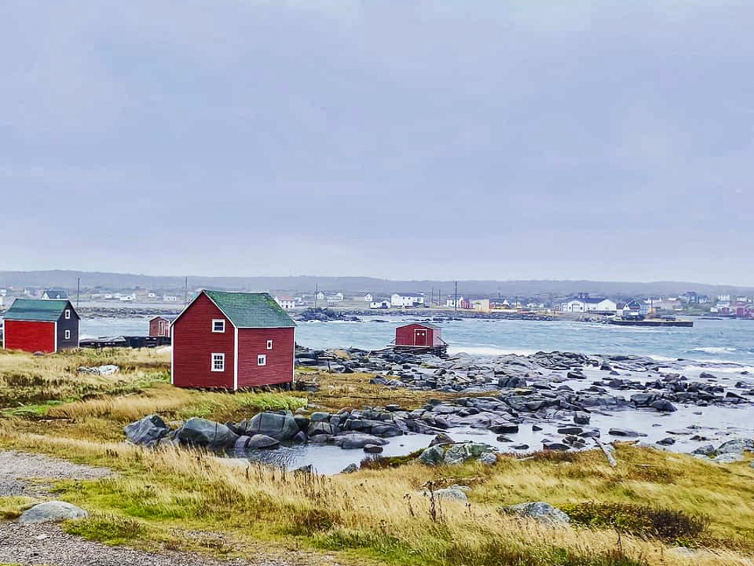Canada&nbsp;: Travel to Newfoundland | Itinerary and Highlights - Fogo