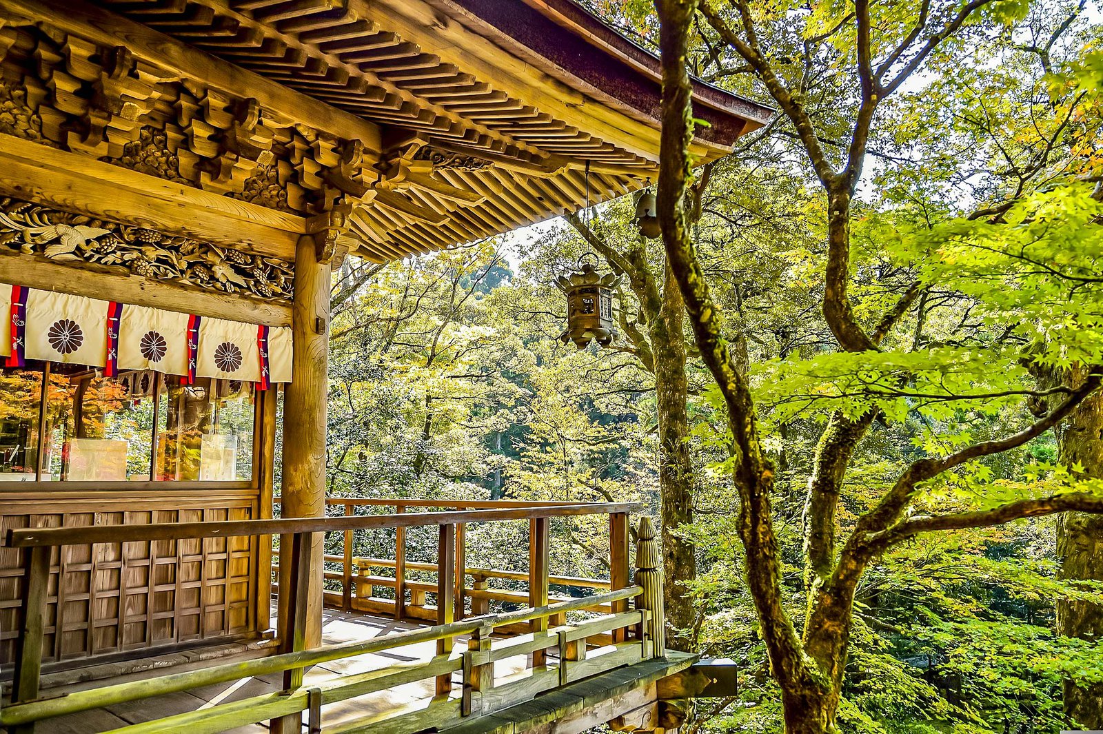 The Best Ways To Travel To Japan Using Points & Miles - Japan 2