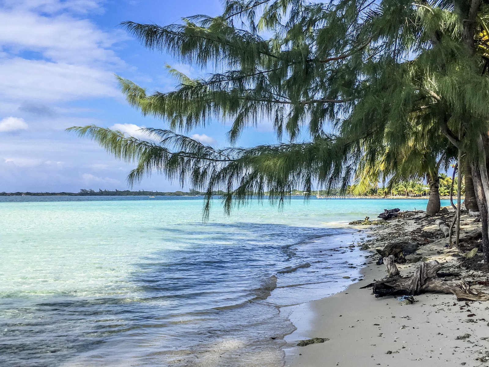 Nos astuces pour faire de la plongée sous-marine avec les points - Roatan Plongée sous-marine