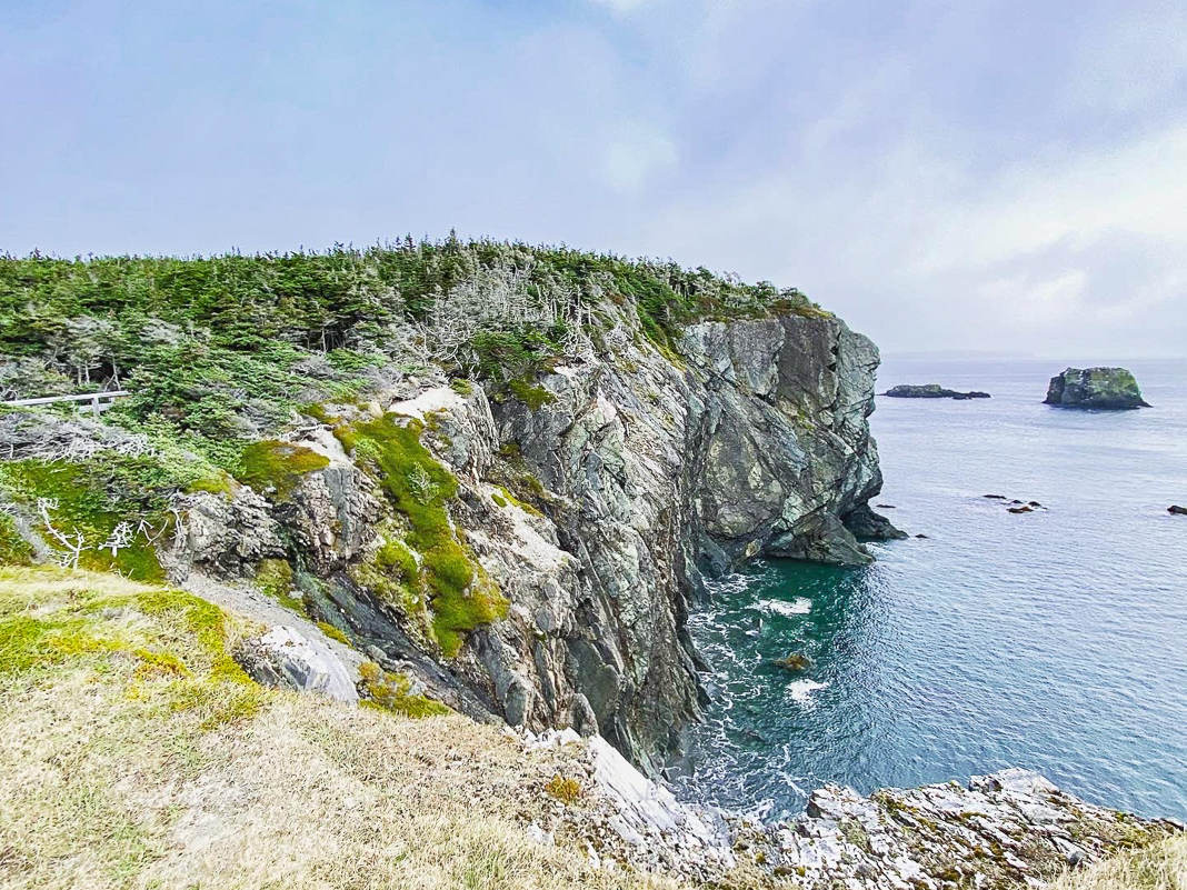 Canada&nbsp;: Travel to Newfoundland | Itinerary and Highlights - Skerkwink trail-2-