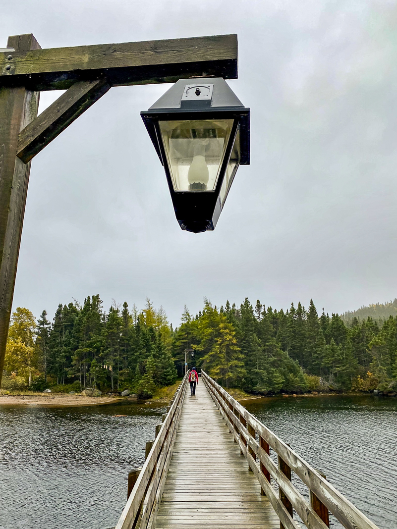 Canada&nbsp;: Travel to Newfoundland | Itinerary and Highlights - Terra-Nova, parc national