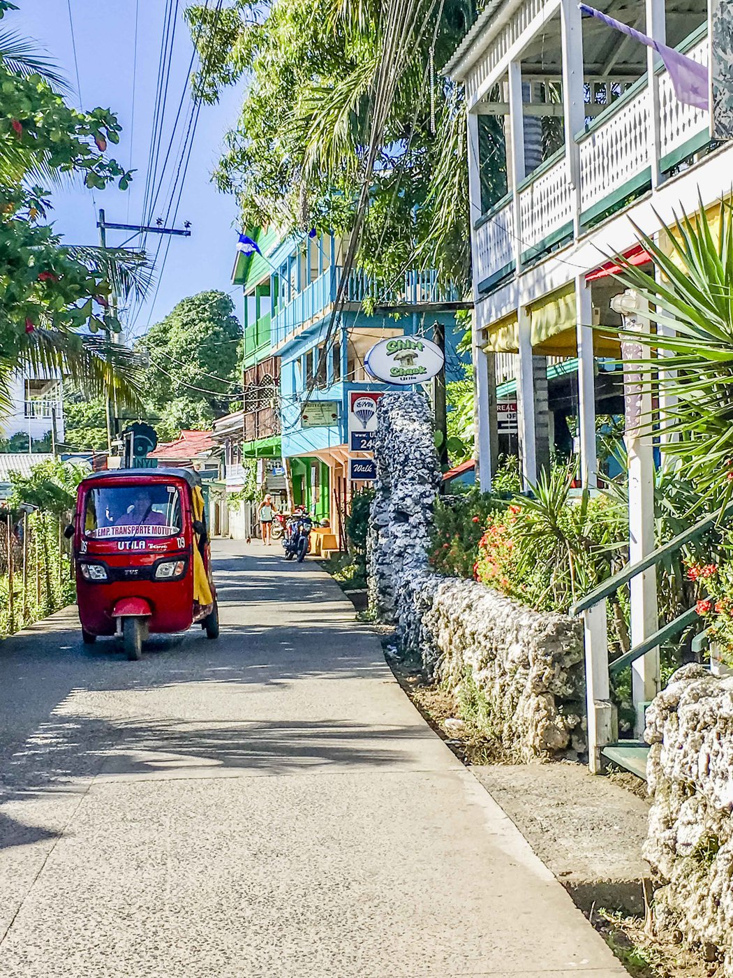 Nos astuces pour faire de la plongée sous-marine avec les points - Utila Honduras