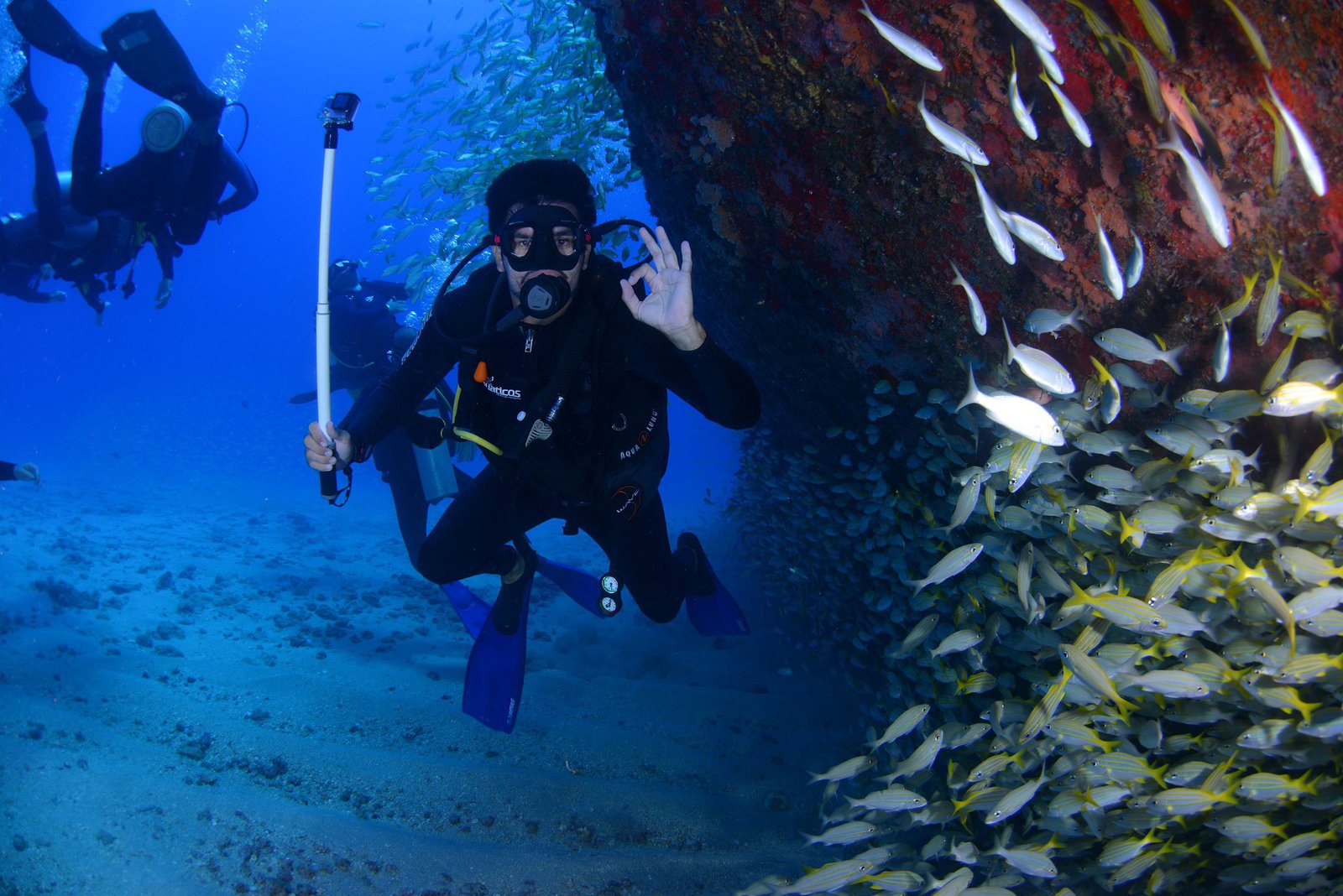 Nos astuces pour faire de la plongée sous-marine avec les points - Plongée sous marine