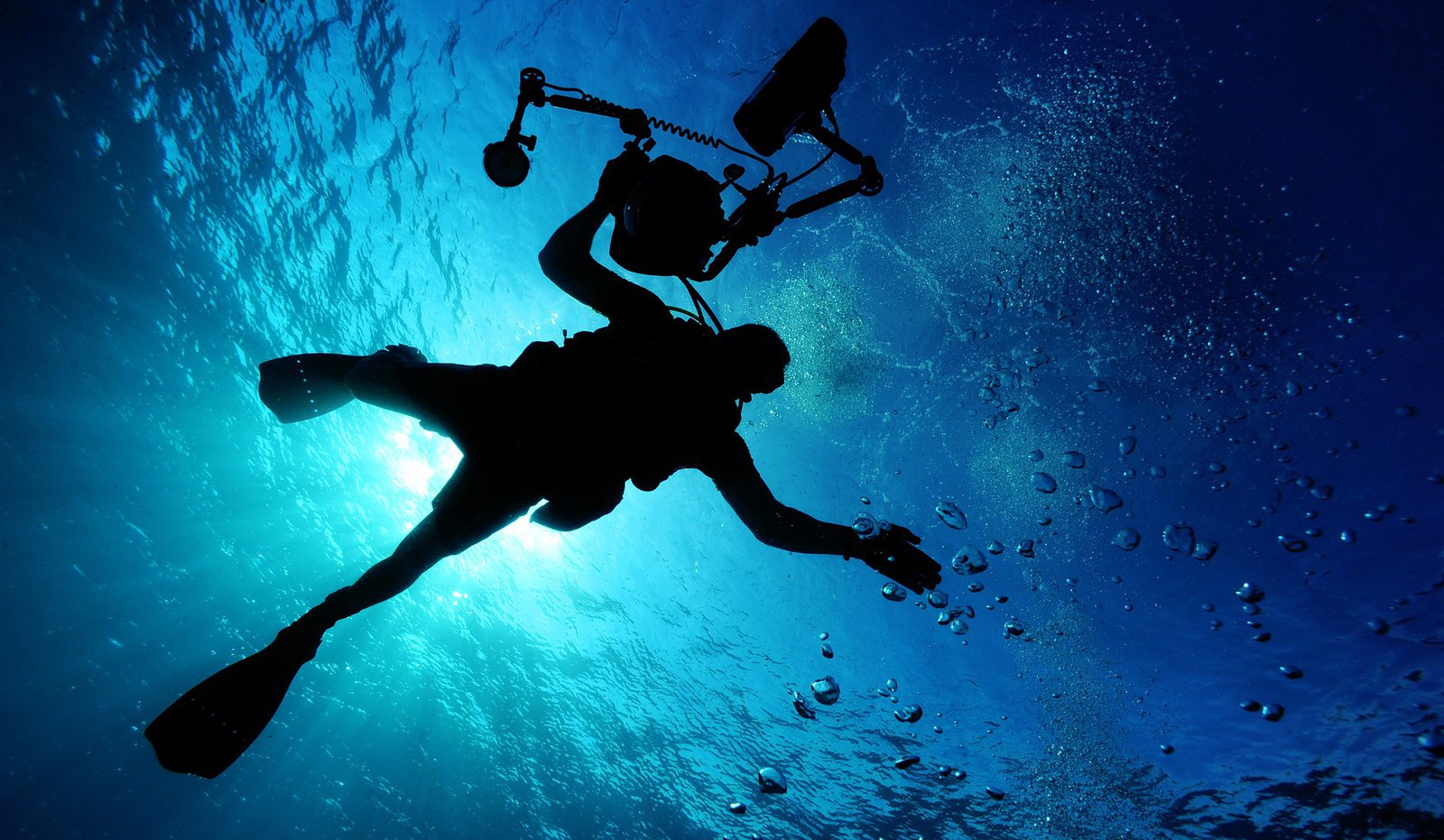 Nos astuces pour faire de la plongée sous-marine avec les points - Plongée sous-marine