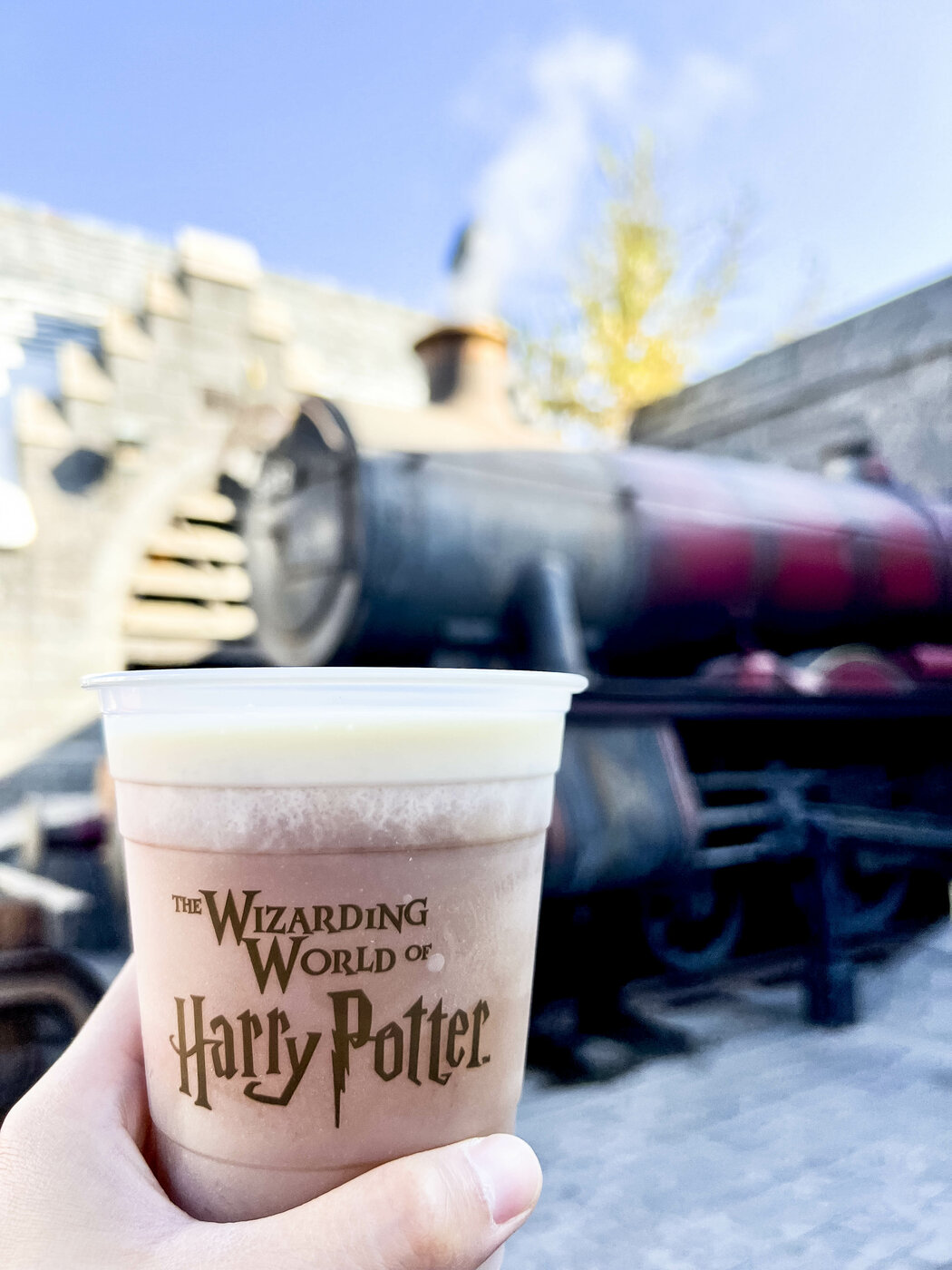 Harry Potter: Ultimate Experiences With Points and Miles - IMG-1558