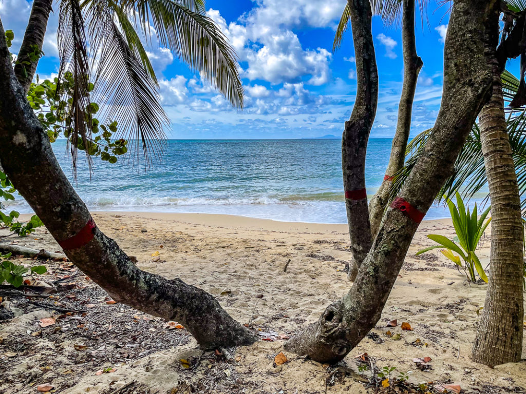 Guide de voyage en Martinique | Itinéraires et Incontournables - Martinique Crédit Frédéric Deluen 2