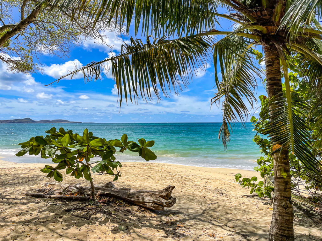 Guide de voyage en Martinique | Itinéraires et Incontournables - Martinique Crédit Frédéric Deluen 3