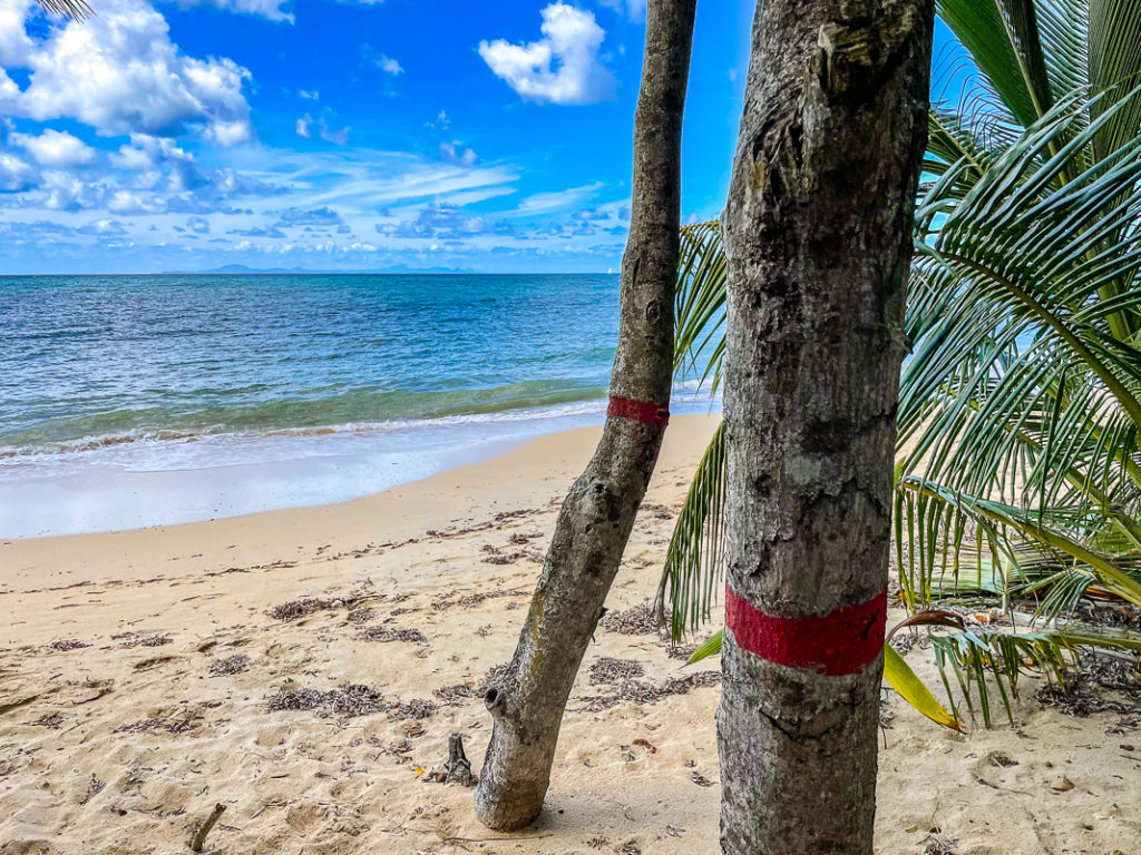 Guide de voyage en Martinique | Itinéraires et Incontournables - Martinique Crédit Frédéric Deluen 4