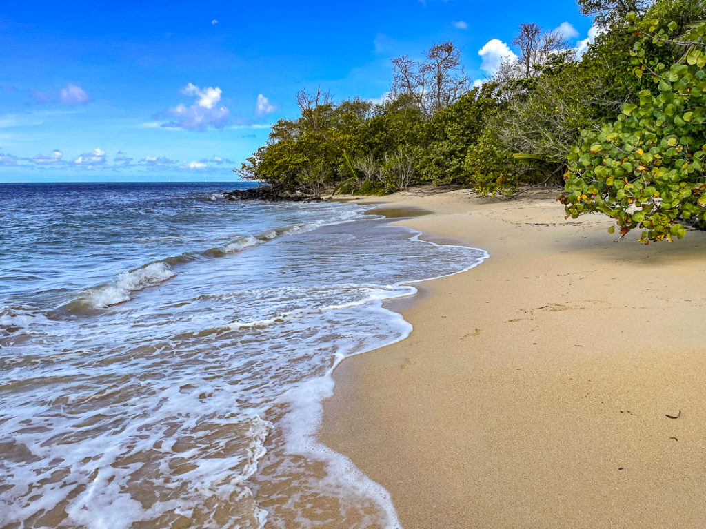 Guide de voyage en Martinique | Itinéraires et Incontournables - Sainte Luce Plage Pont Café Martinique Crédit Frédéric Deluen 4