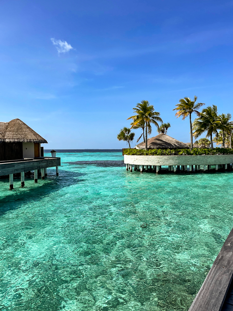 Avis&nbsp;: W Maldives | Marriott Bonvoy - W Maldives