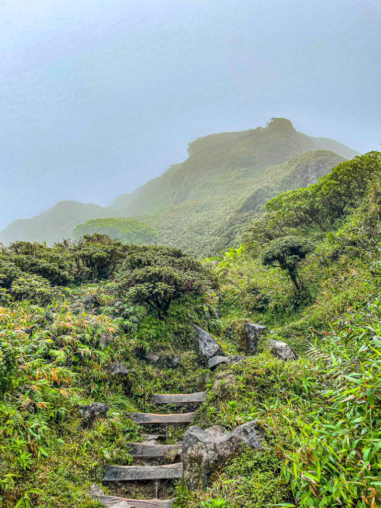 Guide de voyage en Martinique | Itinéraires et Incontournables - Montagne Pelée Martinique Crédit Frédéric Deluen
