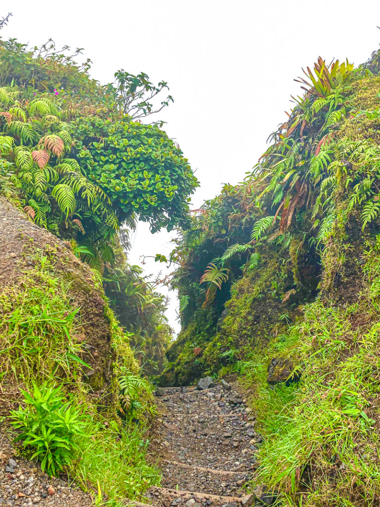 Guide de voyage en Martinique | Itinéraires et Incontournables - Montagne Pelée Coeur Du Volcan Martinique Crédit Frédéric Deluen 2