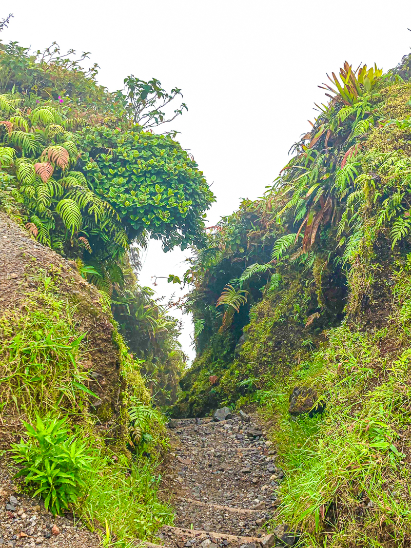 Guide de voyage en Martinique | Itinéraires et Incontournables - Montagne Pelée Coeur Du Volcan Martinique Crédit Frédéric Deluen 2
