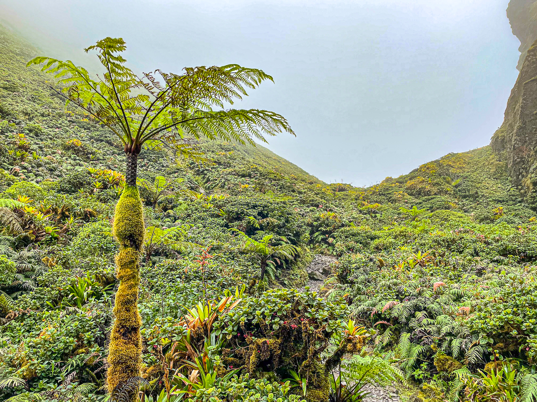 montagne pelée coeur du volcan Martinique Crédit Frédéric Deluen