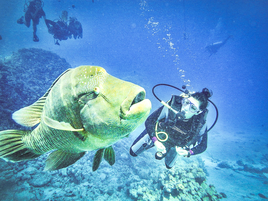 Les 10 meilleurs sites de plongée sous-marine avec les points - Égypte 2
