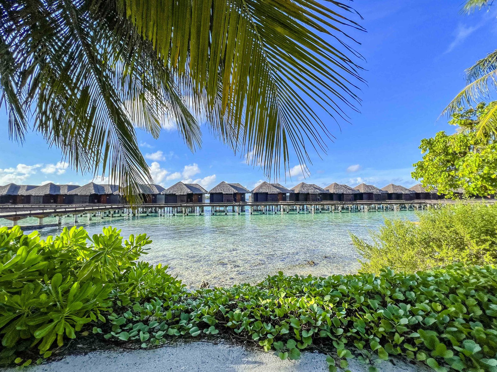 Review: Sheraton Maldives Full Moon Resort & Spa - Sheraton Maldives Full Moon Resort Spa