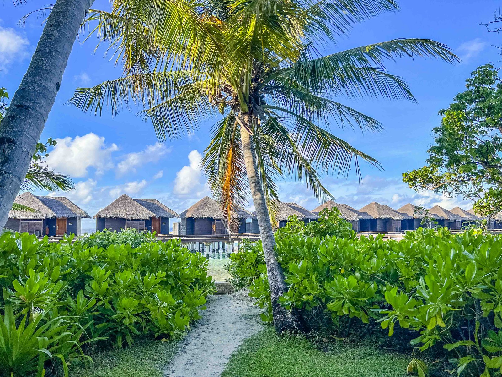 Review: Sheraton Maldives Full Moon Resort & Spa - Sheraton Maldives Full Moon Resort Spa 6479