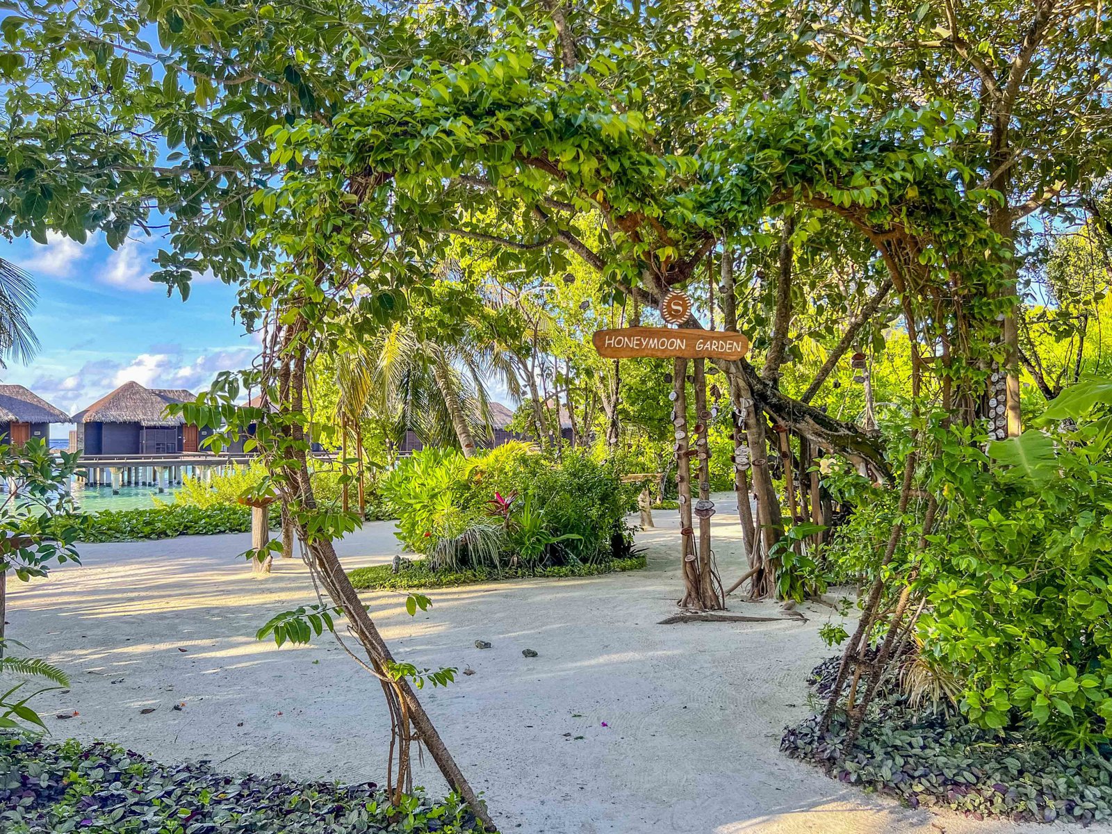 Sheraton Maldives Gardens 6426