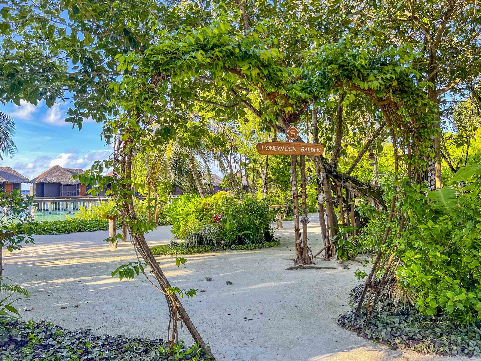 Aline - Sheraton Maldives Gardens 6426
