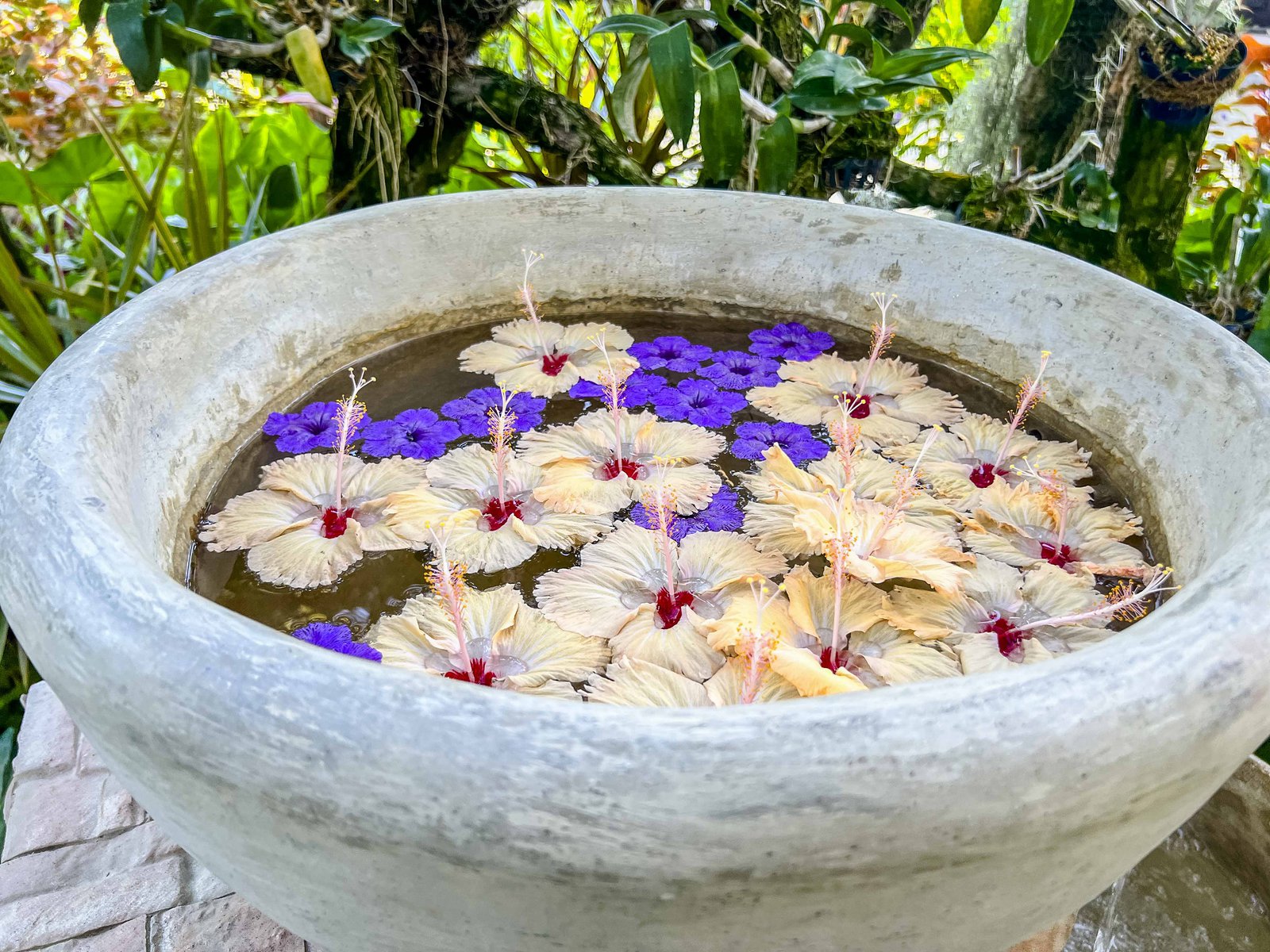 Aline - Sheraton Maldives Gardens 6441