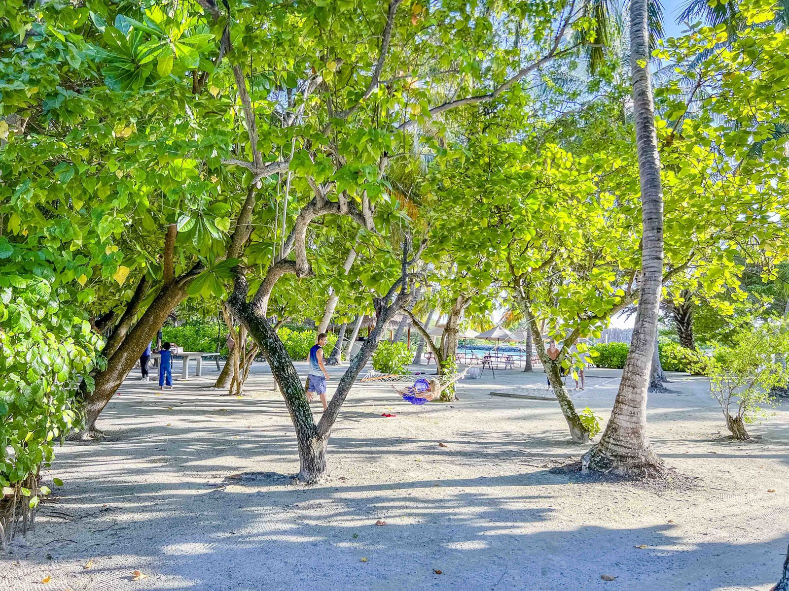 Sheraton Maldives Kakuni Hut 6469