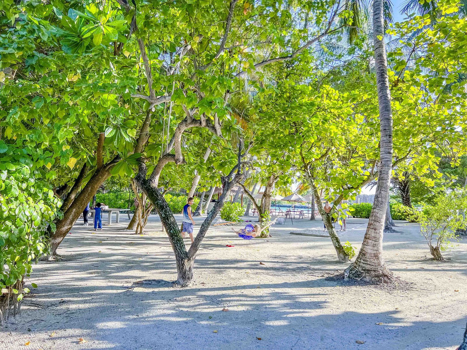 Review: Sheraton Maldives Full Moon Resort & Spa - Sheraton Maldives Kakuni Hut 6469