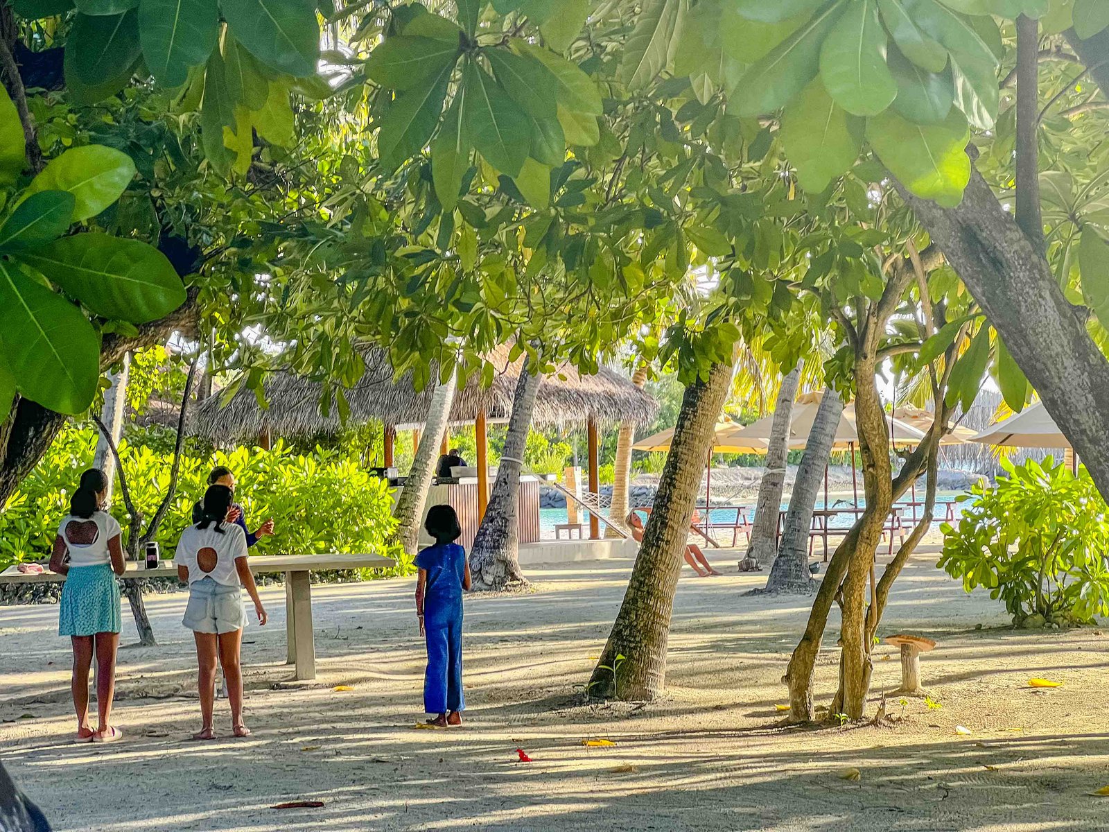 Review: Sheraton Maldives Full Moon Resort & Spa - Sheraton Maldives Kakuni Hut 6471