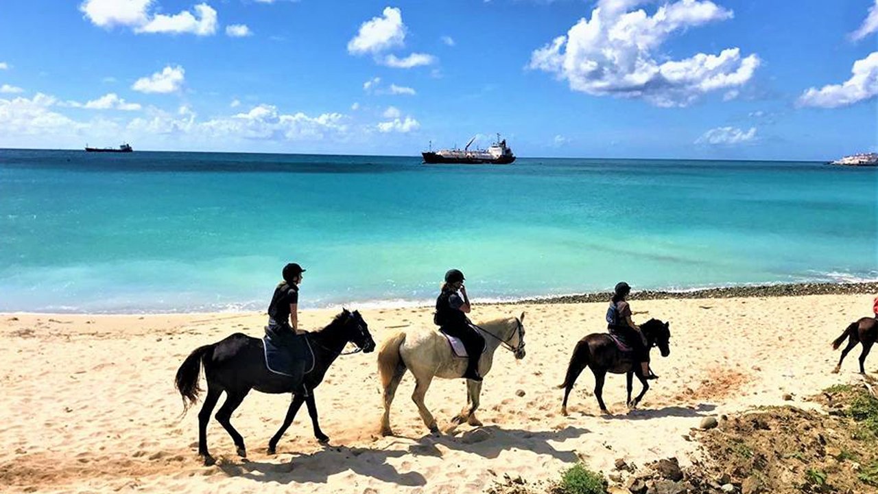 Guide de voyage à Saint-Martin | Itinéraires et Incontournables - Équitation Sur La Plage