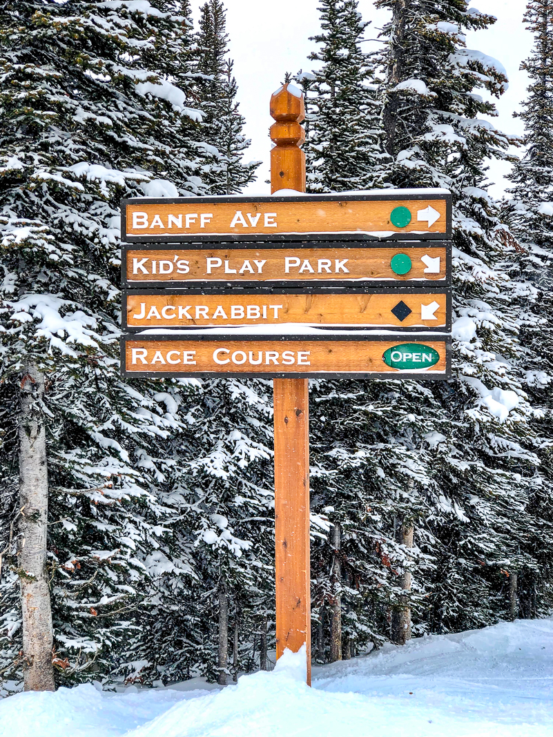 Canada: How to Plan a Ski Trip to Western Canada Using Points - Ski 6