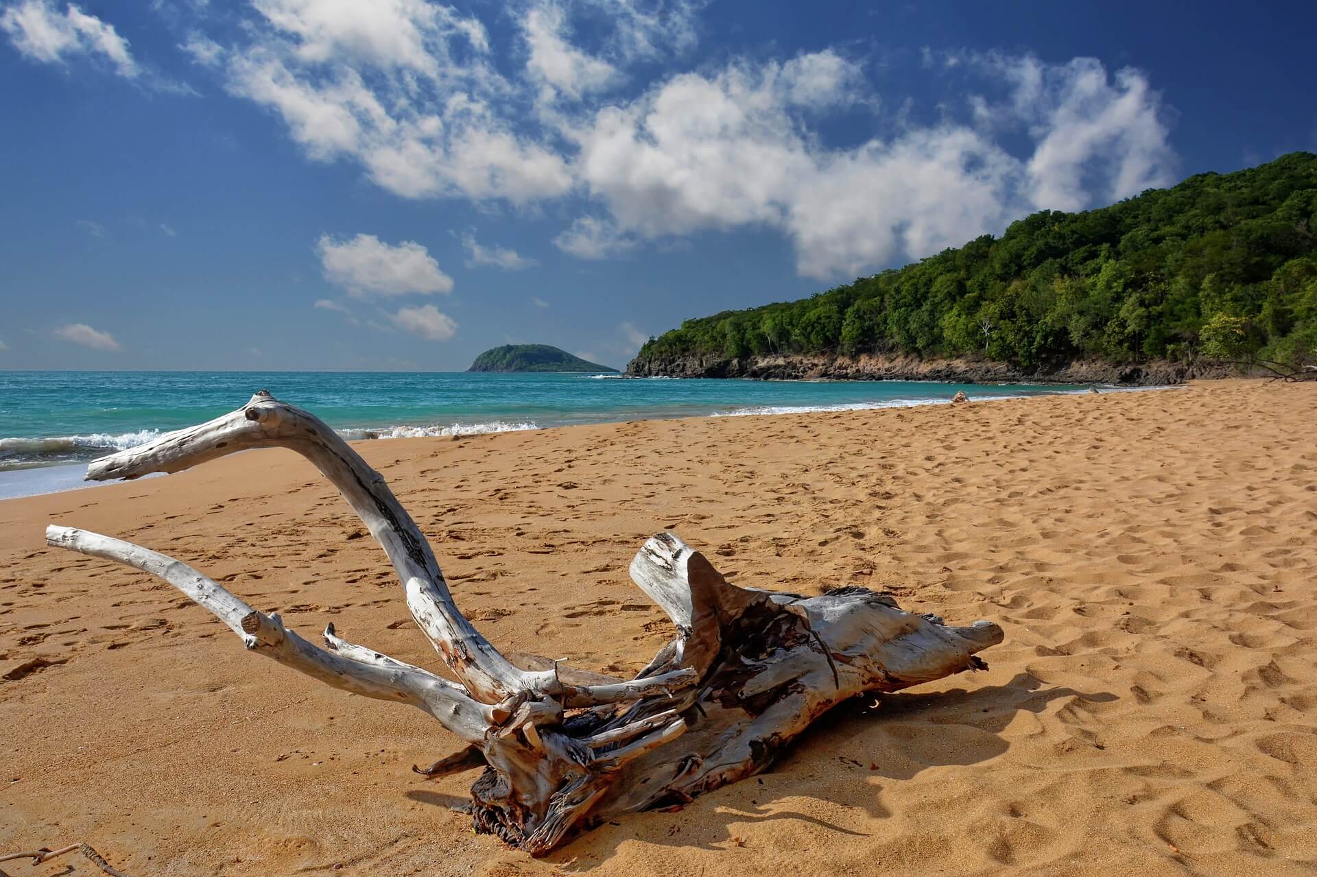 Antilles&nbsp;: Guide de voyage en Guadeloupe | Itinéraires et Incontournables - Basse Terre Pixabay