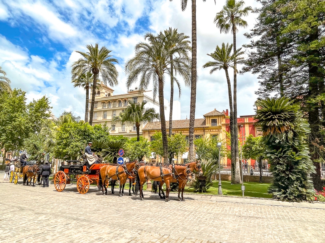 Review&nbsp;: Alfonso XIII, Luxury Collection Hotel in Seville | Marriott Bonvoy - 69