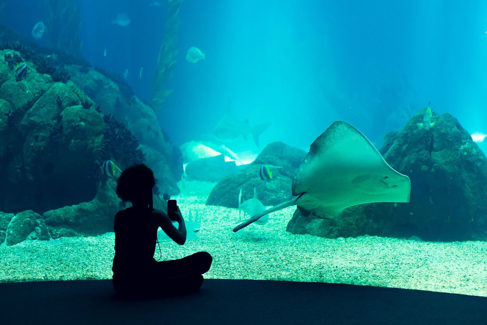 Review&nbsp;: Moxy Lisboa Oriente | Marriott Bonvoy - Oceanarium Lisboa
