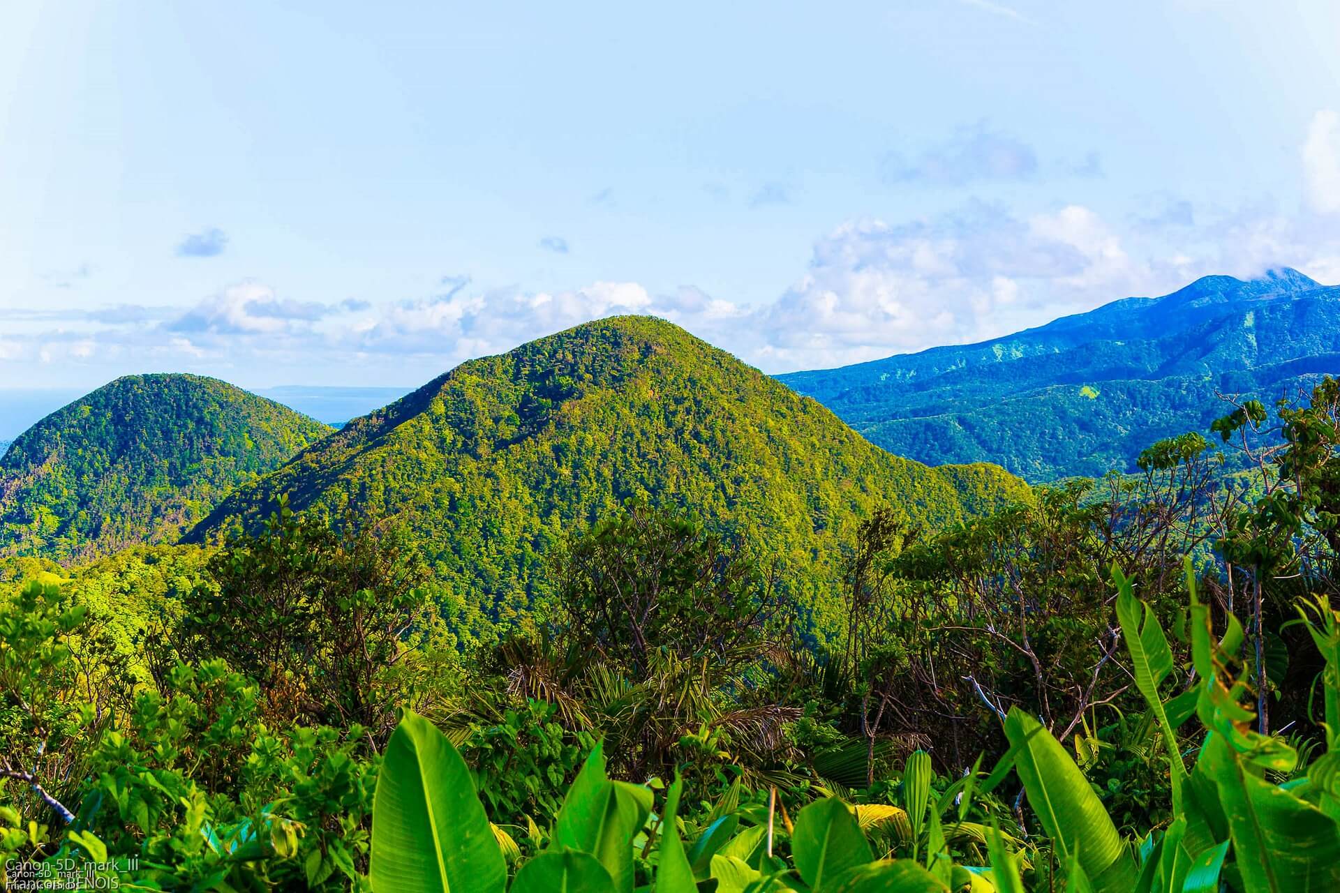 Paysage de Guadeloupe – Pixabay