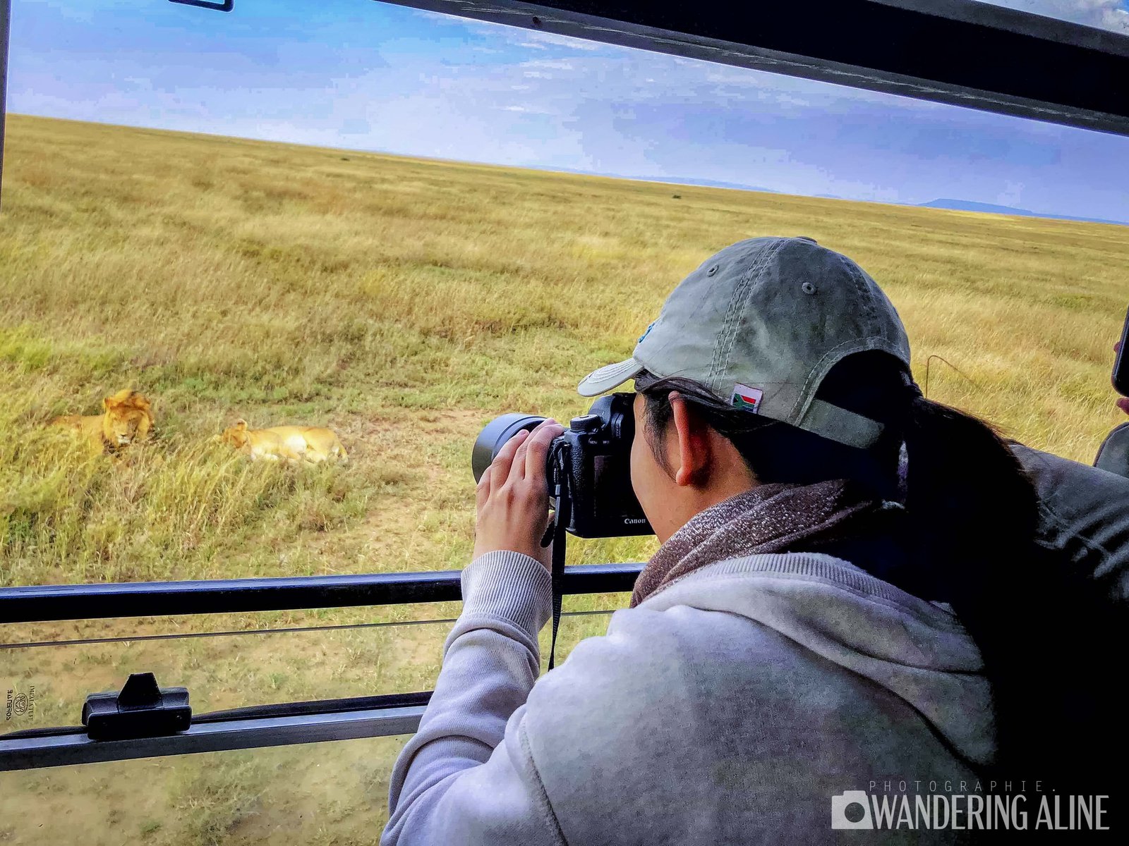 Safari en Afrique&nbsp;: une merveilleuse aventure avec les animaux sauvages - Maasai, Serengeti, Ngorongoro