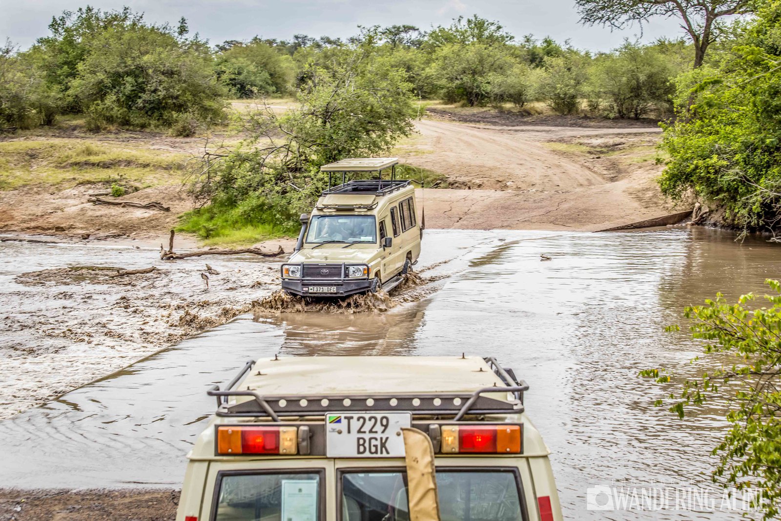 Safari en Afrique&nbsp;: une merveilleuse aventure avec les animaux sauvages - Maasai, Serengeti, Ngorongoro