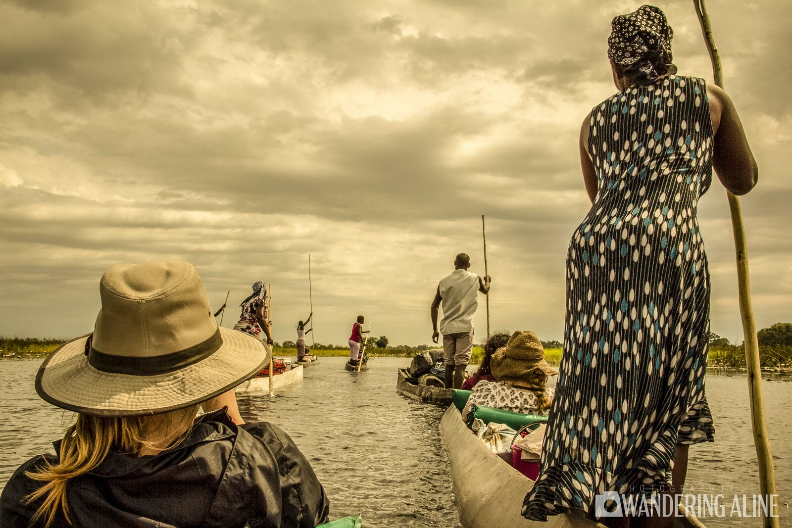 Safari en Afrique&nbsp;: une merveilleuse aventure avec les animaux sauvages - Okavango Delta-8407
