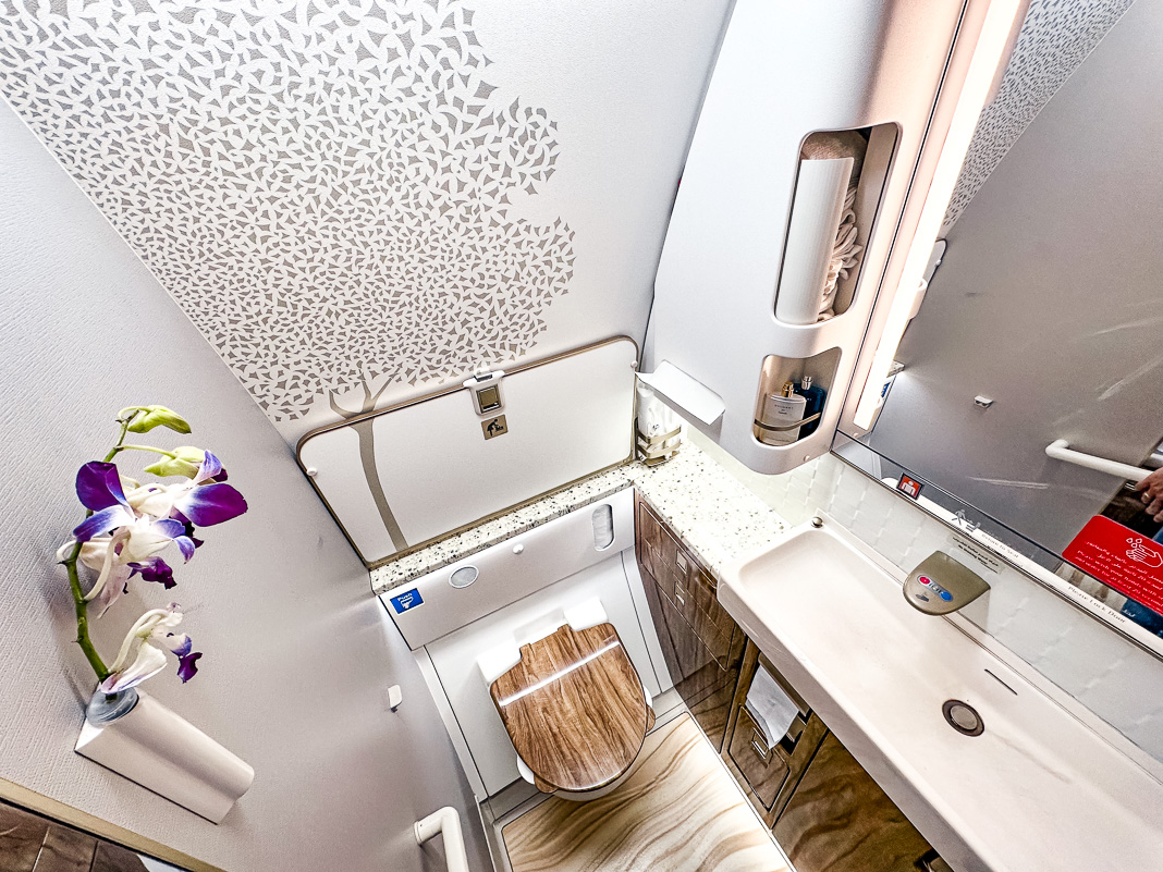 Review: Emirates B777 Business Class | Nice - Dubai - Emirates B777 Classe Affaires-58