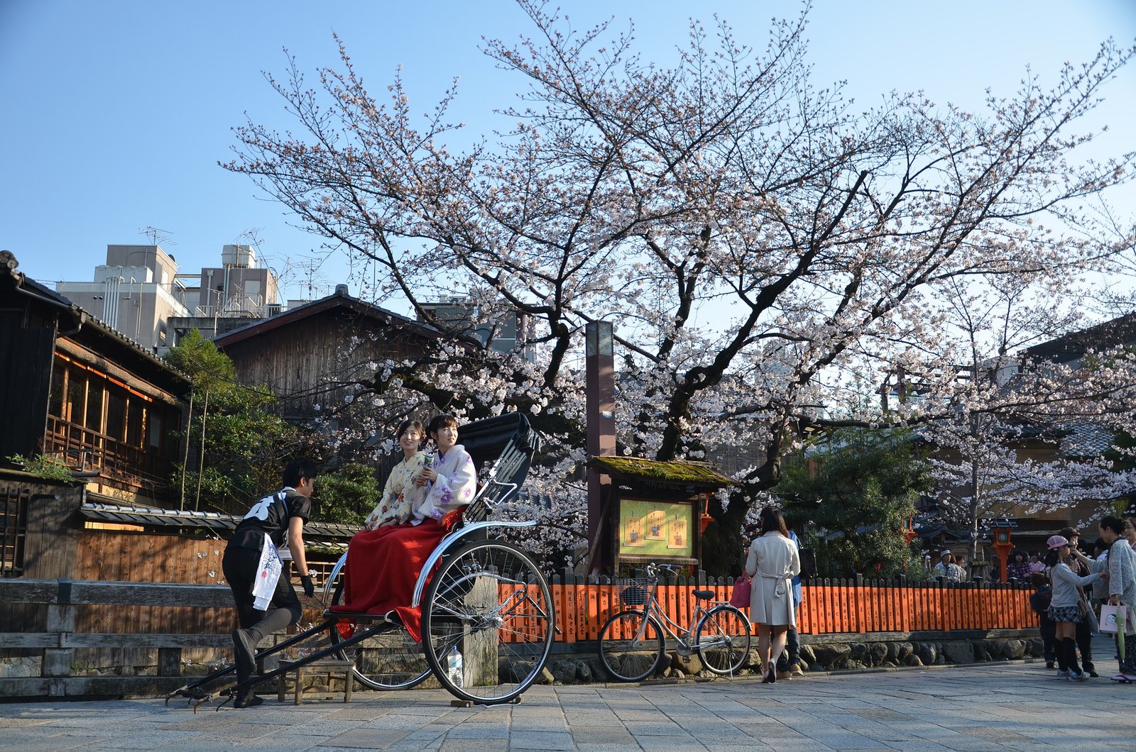 Kyoto: Ultimate 3-Day Travel Guide - Kyoto sakura 2