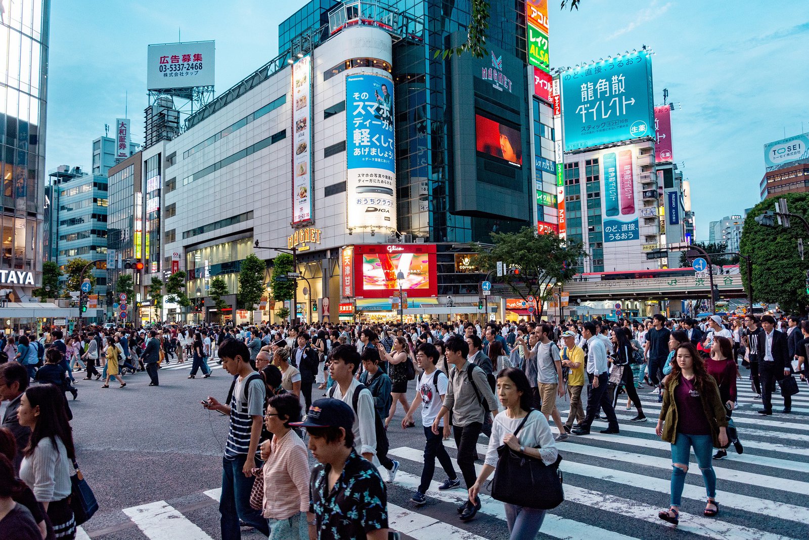 Tokyo: Ultimate 4-Day Travel Guide - Tokyo shibuya 2
