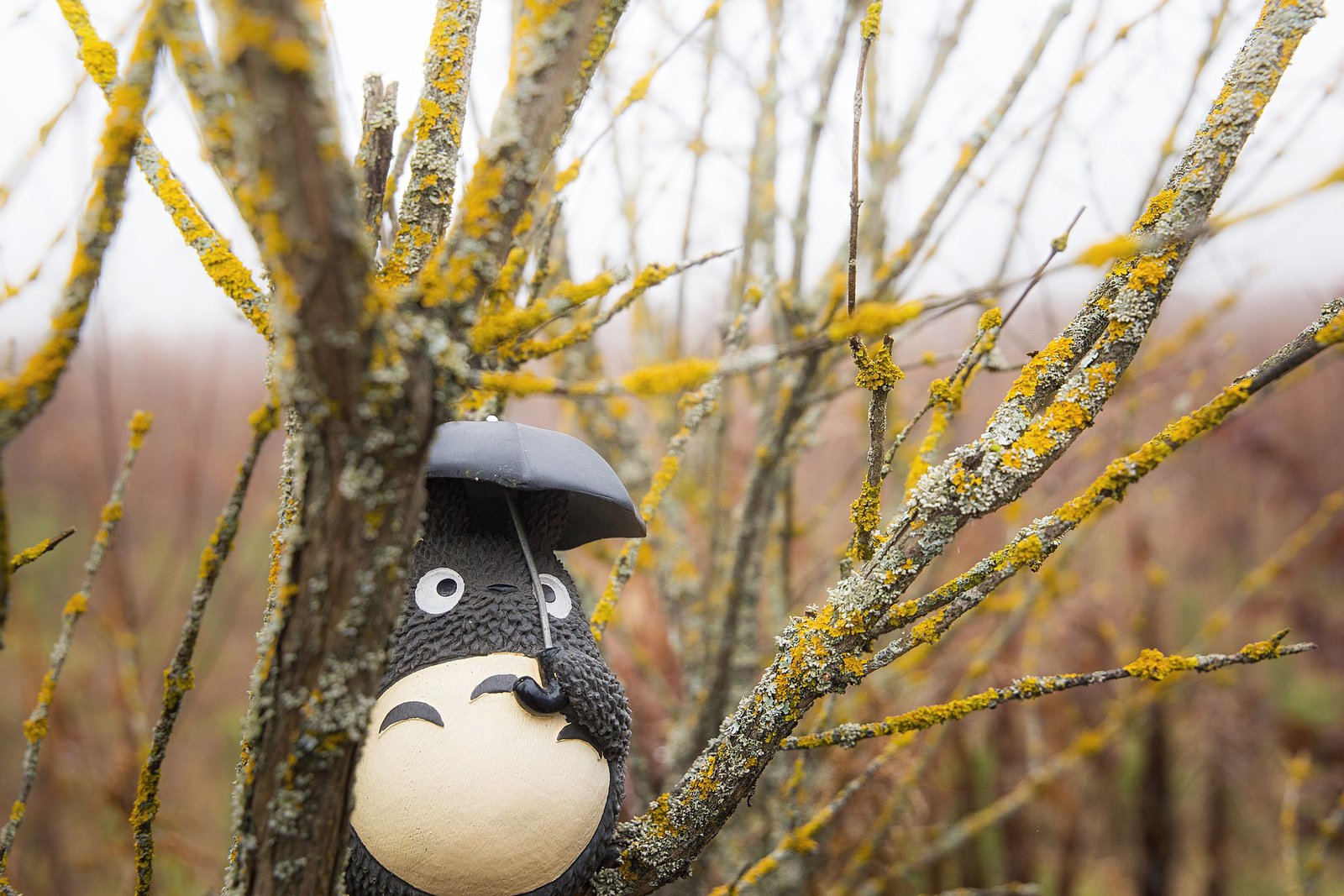 Tokyo: Ultimate 4-Day Travel Guide - Totoro
