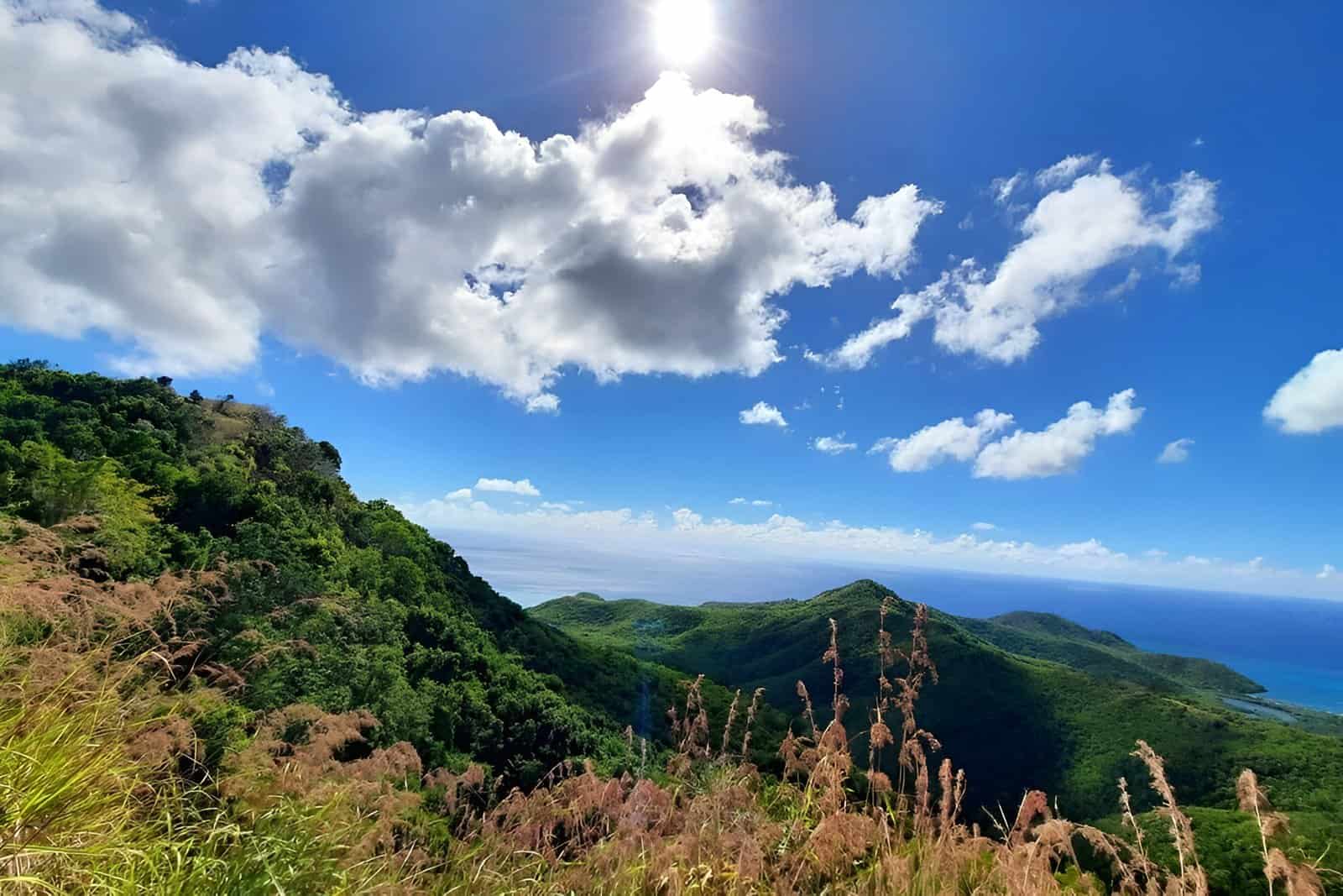 Antigua-et-Barbuda&nbsp;: Pourquoi choisir cette destination pour un voyage de bien-être - Wallings Nature Reserve antigua