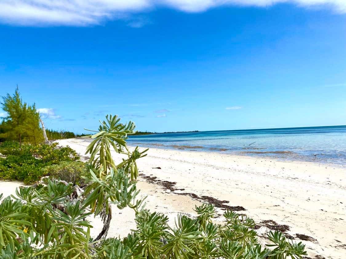 Une plage à l'île de Grand Bahamas
